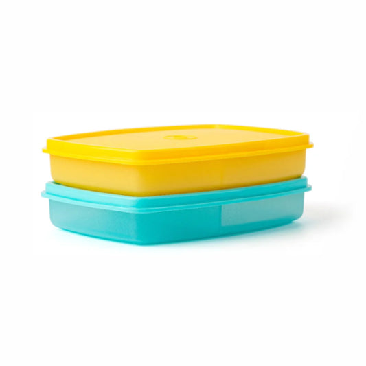 Slim Divided Lunch Container – Set of 2